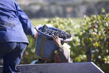 Afbeelding in Gallery-weergave laden, Ernst Gouws & Co Wines Shiraz 2020