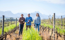 Afbeelding in Gallery-weergave laden, Ernst Gouws &amp; Co Wines Pinotage 2018
